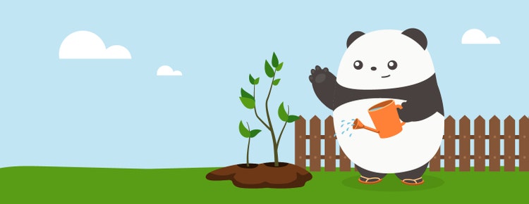 Featured Illustration: A panda watering a growing plant.