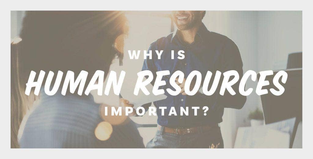 why-is-hr-important-the-top-6-reasons-you-need-to-know