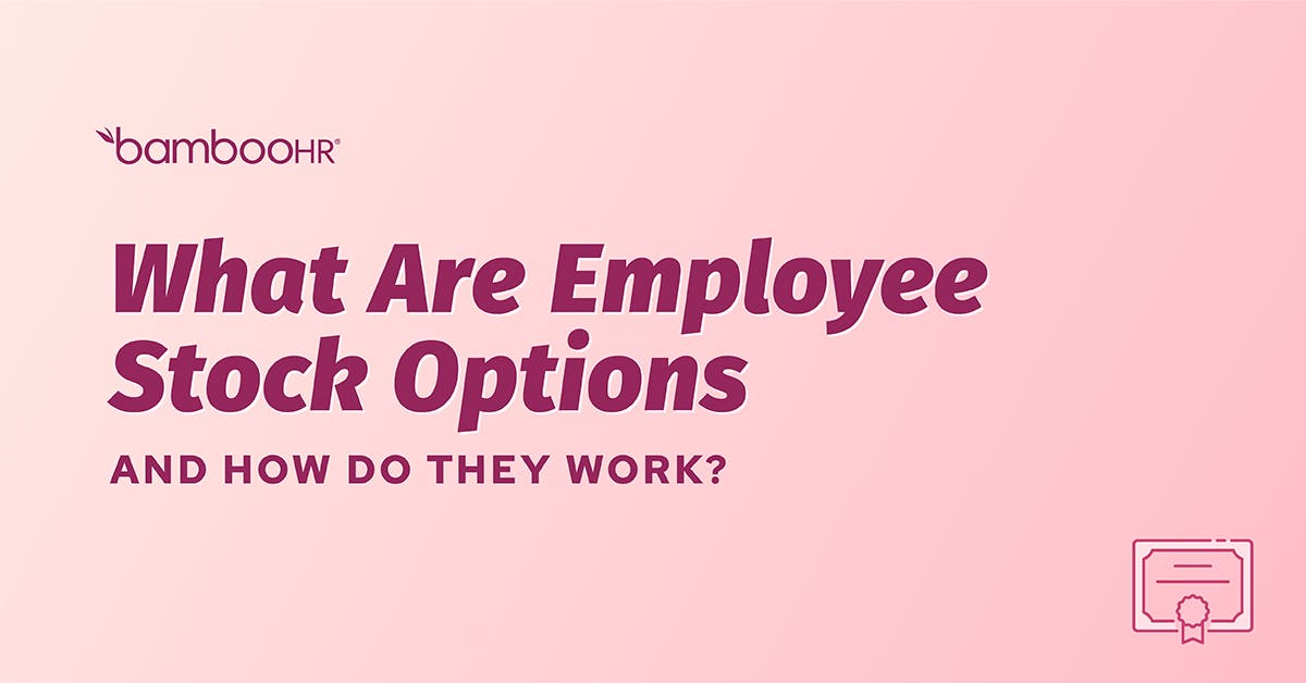 how-do-employee-stock-options-work-types-of-options-taxes-and-more