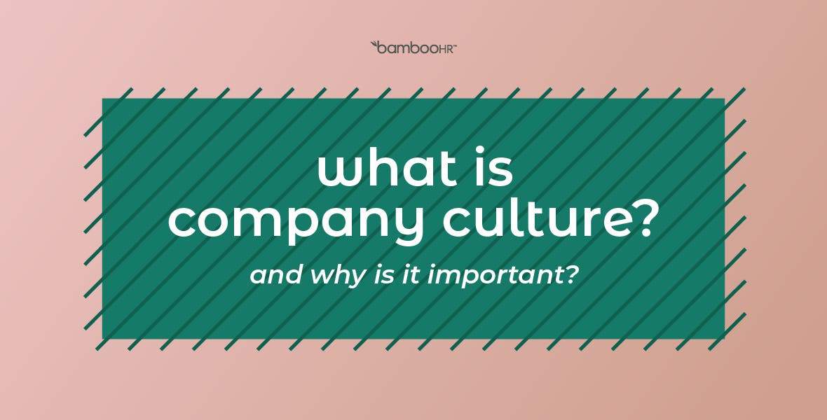 what-is-company-culture-plus-10-expert-tips-for-improvement