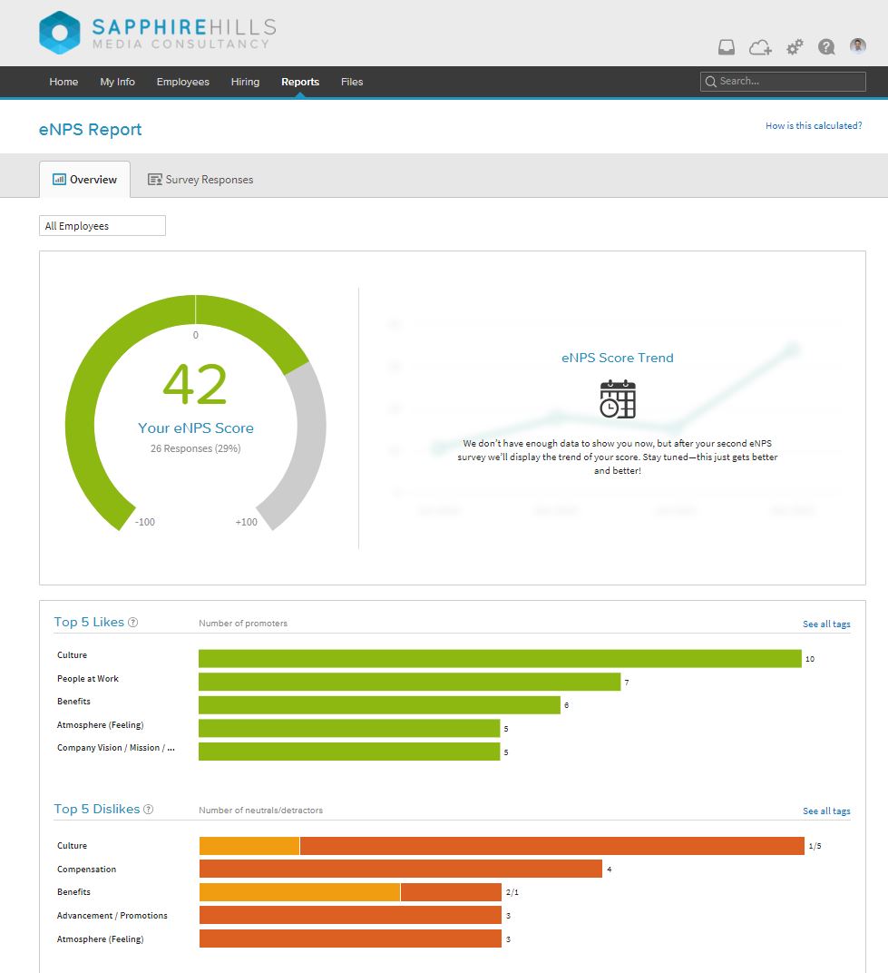 Report dashboard